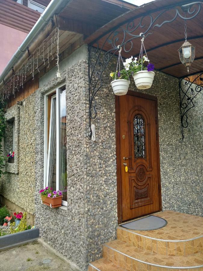 Карпатські Ночі Чан На Території Appartement Jaremtsje Buitenkant foto